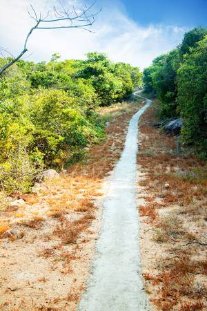 Trước đây, con đường độc đạo đi lên hải đăng Hòn Lớn chỉ là đường đất, rất khó đi. Nơi này đã được các công nhân trạm hải đăng Hòn Lớn “bê tông hóa”. Đường nhỏ, nhưng cũng đủ cho xe máy di chuyển dễ dàng, vận chuyển hàng hóa và nước ngọt lên hải đăng.